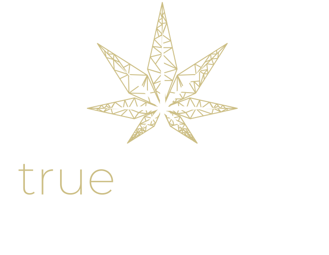 true north logo